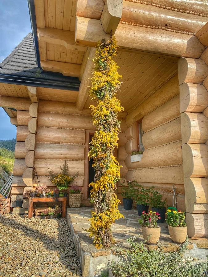 Dziejba Lesna Apartamenty &Spa - Piekne I Nowe Apartamenty I Domek, Sauna I Jacuzzi - W Cenie I Na Wylacznosc, 1 Km Od Stoku Jaworki Exterior foto